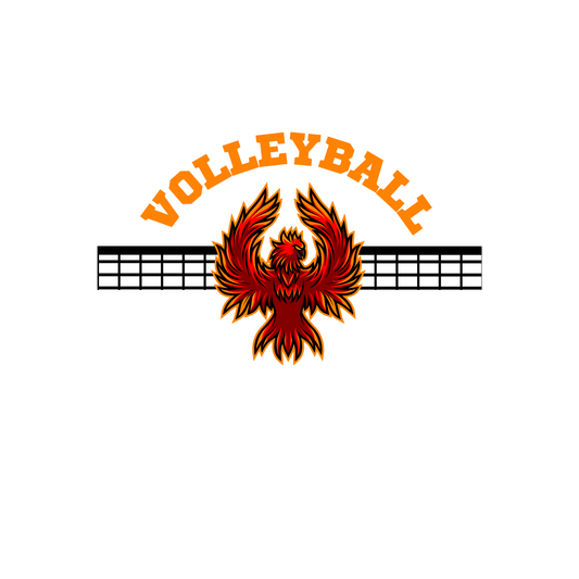 VB 2