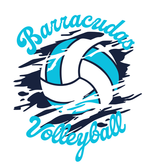 VB 1